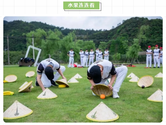 夏天团建活动方案|快乐吃瓜，西瓜派对!枫动团建组织策划夏日限定趣味团建活动赛事，你这瓜保熟么？欢迎预约咨询~ 资讯动态 第2张